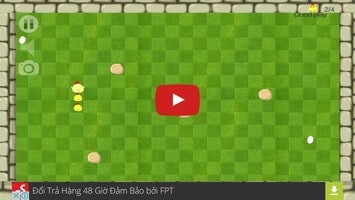 Vídeo de gameplay de Chicken find Egg 1