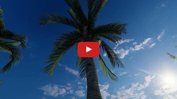 Gameplayvideo von Villa Fiji 1