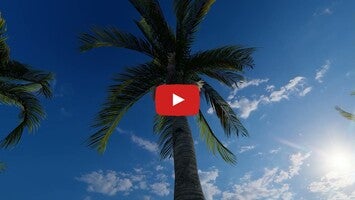 Villa Fiji1'ın oynanış videosu