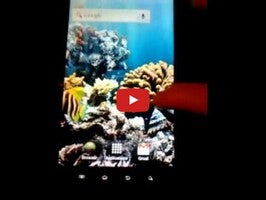The real aquarium - HD1動画について