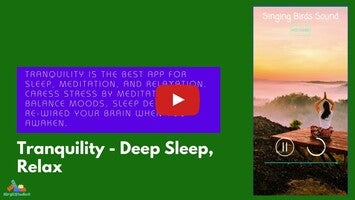 Vídeo sobre Tranquility - Deep Sleep, Relax 1