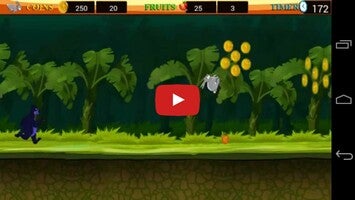 Video gameplay Rush In Jungle 1