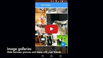 Video about Caturday - Cat World 1
