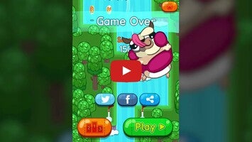 Video gameplay Pug Rapids 1