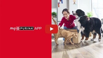 Видео про myPurina 1