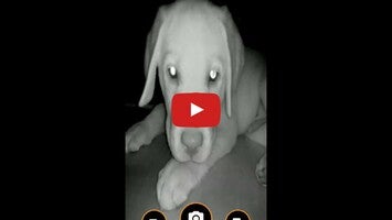 Video über InfraRed Camera - Xiaomi Pocop 1