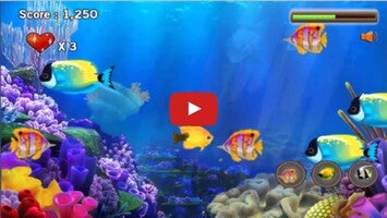 Video gameplay The Tlittle Fish 1