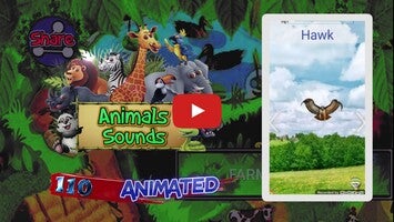 Vídeo de Animals Sounds For Kids 1