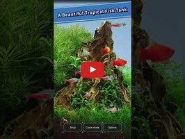 Video del gameplay di Tropical Aquarium - Mini Aqua 1