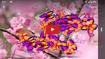 Video über Sakura Live Wallpaper 1