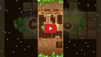 Wood Block Puzzle Board Games APK  Android  