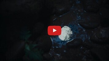Video su Mivi Audio 1