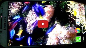 Video about Tropical Aquarium Live Wallpaper 1