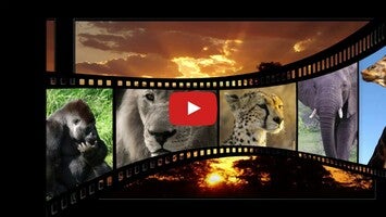 วิดีโอเกี่ยวกับ Real Animal Sounds 1