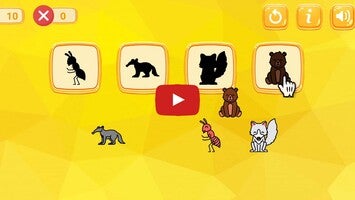 Video del gameplay di KidsPuzzle4in1 1