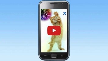 Vidéo au sujet deTalking, Dancing Cat.1