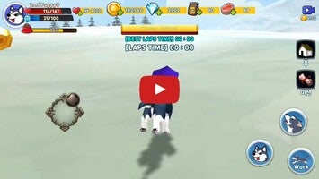 Video gameplay Husky&Me 1