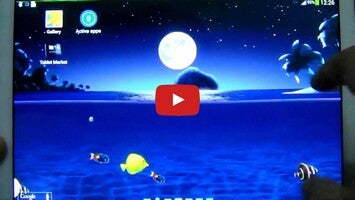 Aqua World HD1動画について
