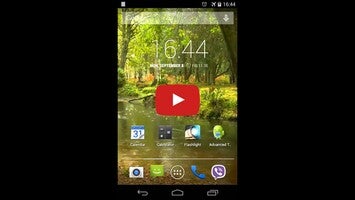 Video về Rain in the forest Video LWP1