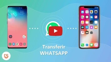 Vídeo de WhatsApp Transfer, Backup & Restore 1