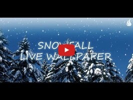 Video über Schneefall 1