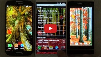 Video about Autumn Landscape Live Wallpaper 1