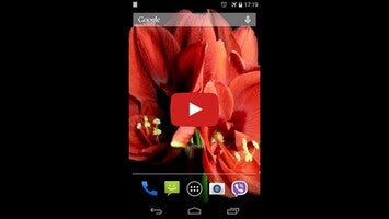 Vídeo sobre Flowers 1