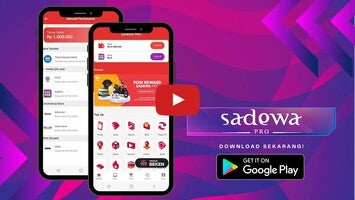 Sadewa PRO1動画について