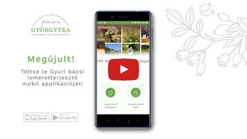 Video about Györgytea 1