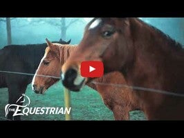 Vídeo de Equestrian 1
