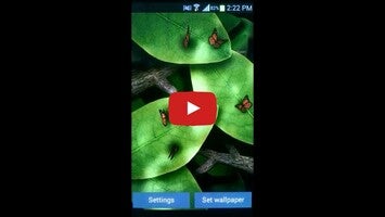 Vídeo de Tap Leaves Free Live Wallpaper 1