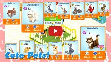 Vídeo-gameplay de Pet Shop Story 1