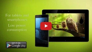 Vídeo sobre Owls Trial 1
