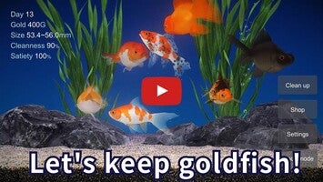 Gameplay video of Goldfish 3D Relaxing Aquarium 1