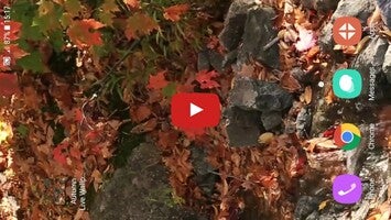 Video about Autumn Live Wallpaper 1