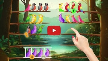 วิดีโอการเล่นเกมของ Birdie Color Sort 1