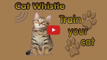 Видео про CatWhistle 1