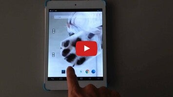 Video über ChoCho Cat 1