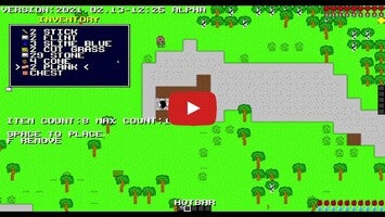 Video gameplay BlocksCraft2D 1