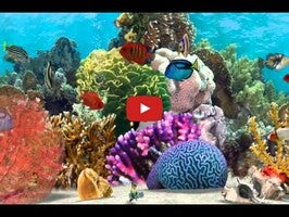 Video about Fish Farm 2 1