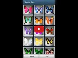 วิดีโอเกี่ยวกับ Butterflies LITE Wallpaper 1
