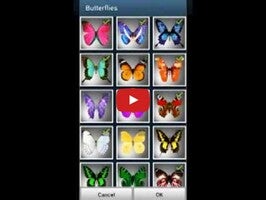 Butterflies LITE Wallpaper1動画について