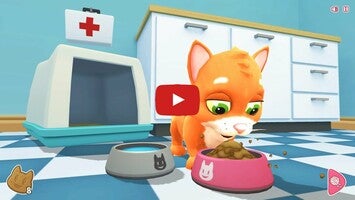 Vidéo de jeu deKitty Cats1