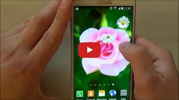 Video about Roses Live Wallpaper 1