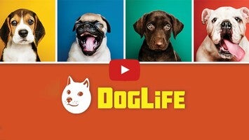 วิดีโอการเล่นเกมของ DogLife: BitLife Dogs 1