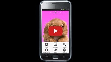 Vídeo de Dog and Caps 1