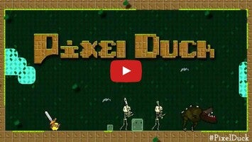 Видео игры Pixel Duck 1