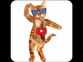 วิดีโอเกี่ยวกับ Dancing Cat 1