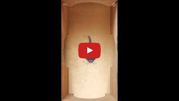 Video tentang CAT ALONE 2 1