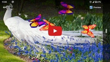 3D Peacock Wallpapers - Screen Lock, Sensor, Auto1 hakkında video